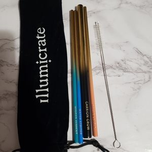 Black Sun, metallic reusable straws & straw cleaner set of 4 with engravings